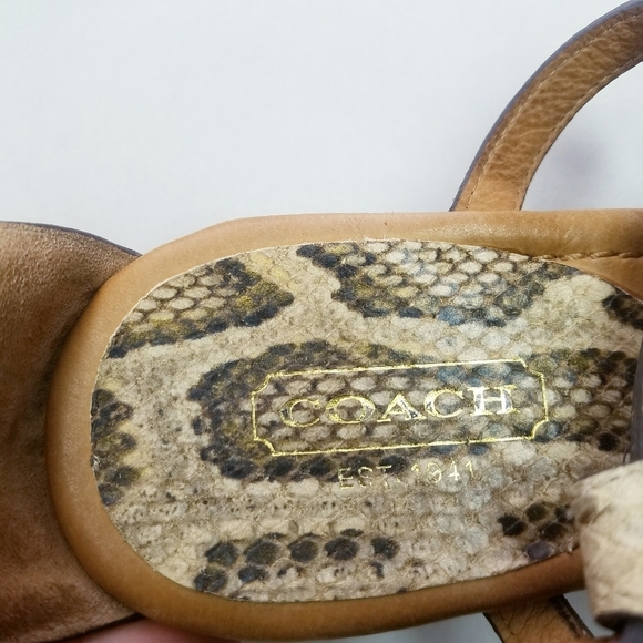 🌸 Coach | Snakeskin‎ Leather Sandals 8.5 - Picture 6 of 7
